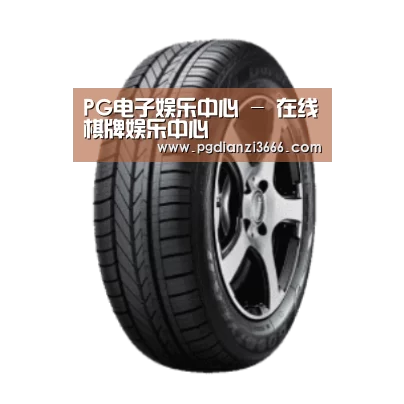 PG电子娱乐中心产品名称一