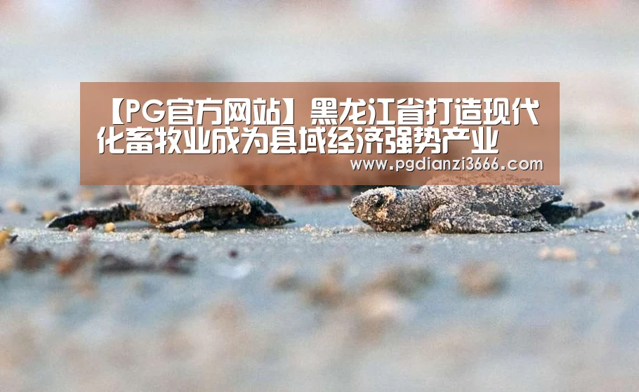 PG真人娱乐
