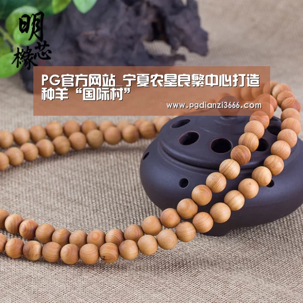 PG麻将在线玩