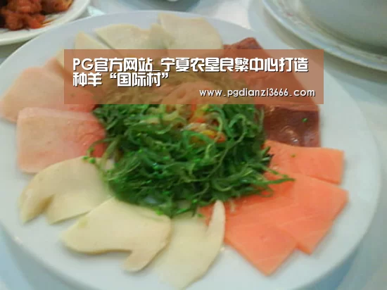 PG电子娱乐中心