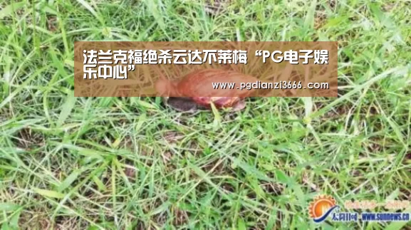 法兰克福绝杀云达不莱梅“PG电子娱乐中心”(图1) PG官方网站