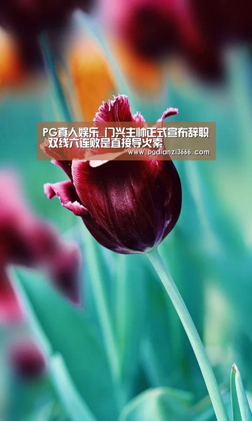 PG真人娱乐_门兴主帅正式宣布辞职 双线六连败是直接导火索(图1) PG官方网站