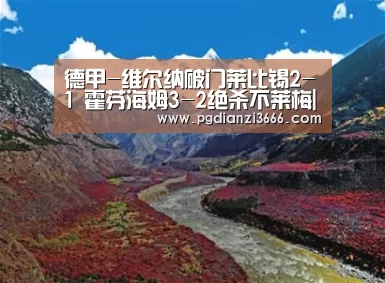 德甲-维尔纳破门莱比锡2-1 霍芬海姆3-2绝杀不莱梅|PG真人娱乐(图1) PG麻将在线玩