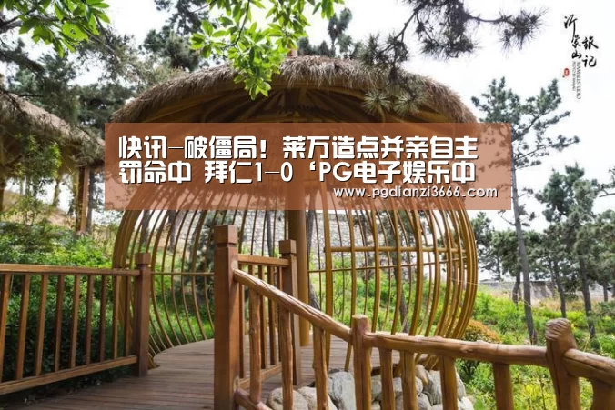 PG官方网站